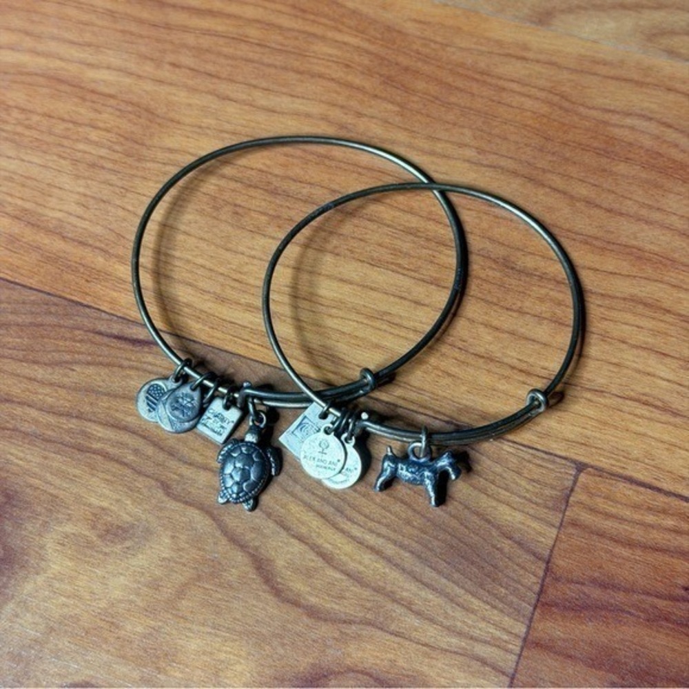 Alex and Ani Charity Bronze Charm Bangle Bracelets Dog Sea Turtle Alex&Ani Lot - Picture 2 of 8